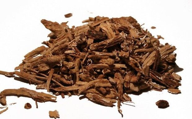 Chicory root - an effective folk remedy in the fight against pests