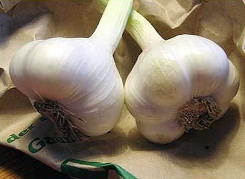 Garlic for the preparation of pesticide suppositories or enemas