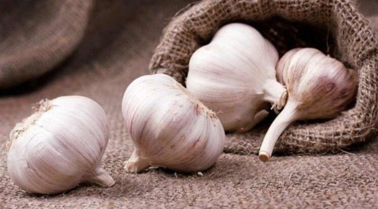 Garlic against worms