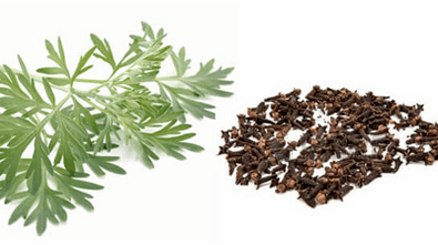 Cloves and wormwood to eliminate parasites from the body
