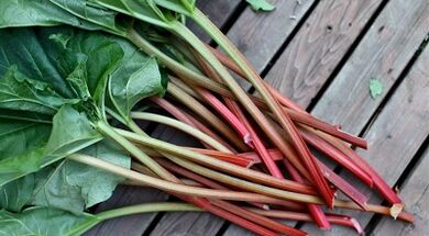 acetosa to remove parasites from the body